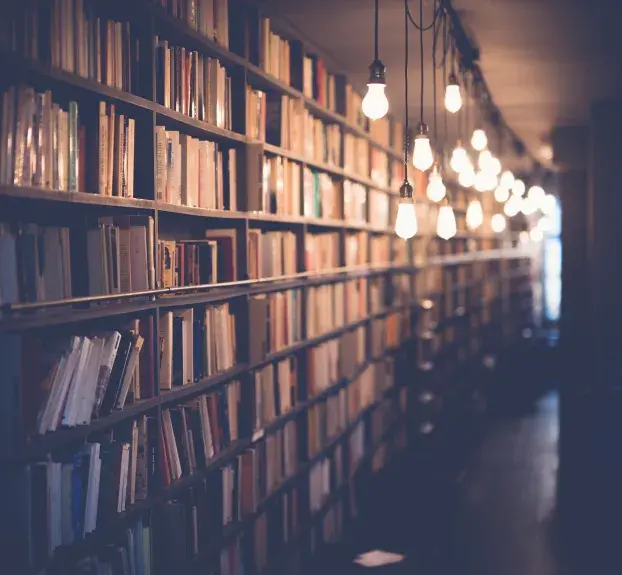bibliothèque éclairée par des ampoules
